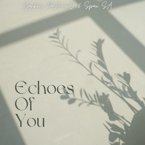 Echoes of You