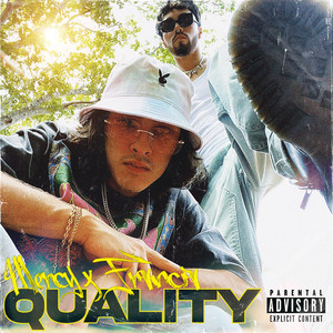 Quality (Explicit)