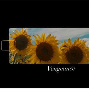 Vengeance