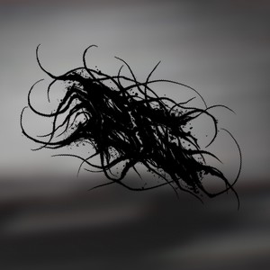 Black Snare (Explicit)