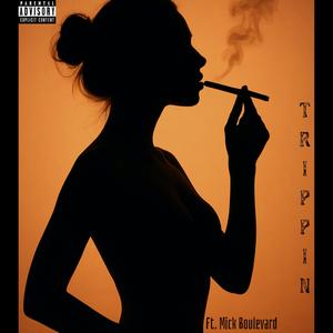 Trippin (feat. Mick Boulevard) (Explicit)
