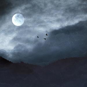 Schwarz (House Remix)