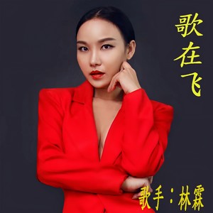 歌在飞