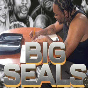 Big Seals - My Projects (Explicit)