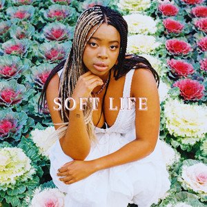 Soft Life