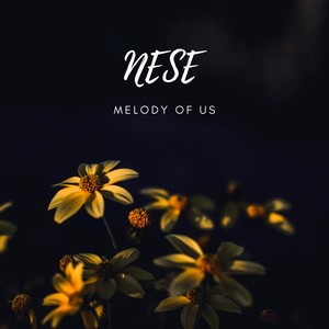 Melody of Us