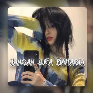 DJ JANGAN LUPA BAHAGIA X YA CUMAN KAMU FULL BASS - (ins)