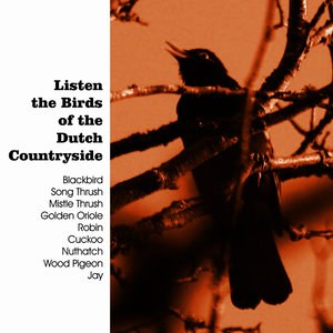 Listen the Birds of the Dutch Countryside