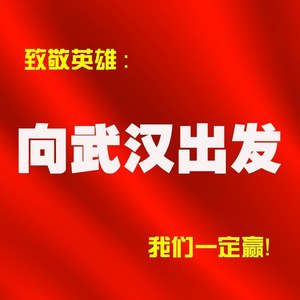 向武汉出发 (Live)