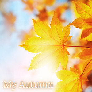 My Autumn