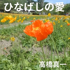 ひなげしの愛 (feat. アルスロイド & VY1V4)