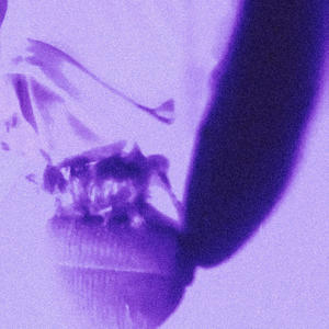 METAMORPHOSIS (Explicit)