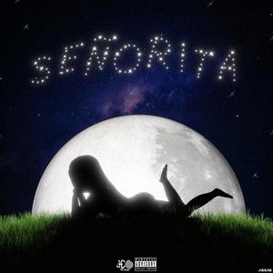 SEÑORITA (Explicit)