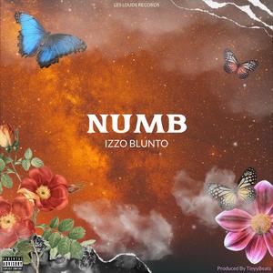 NUMB (Explicit)