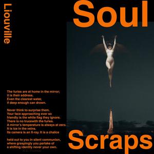 Soul Scraps