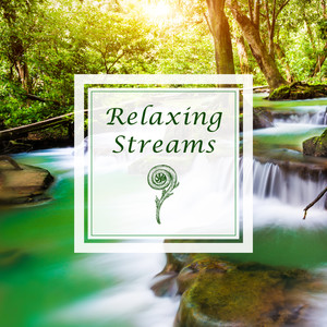 快眠自然音乐．溪 (Relaxing Streams)