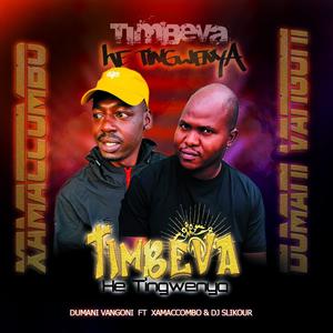 Timbeva (Tingwenya) (feat. XamaCcombo & DJ Slikour)