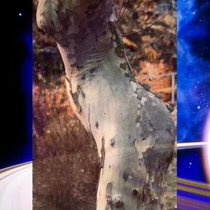 मेri Duनिया अलg