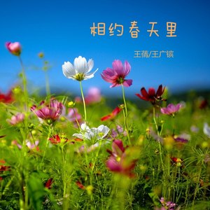 相约春天里