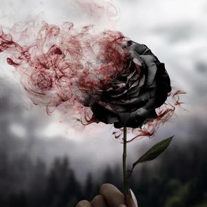 NEVA CARED (Explicit)