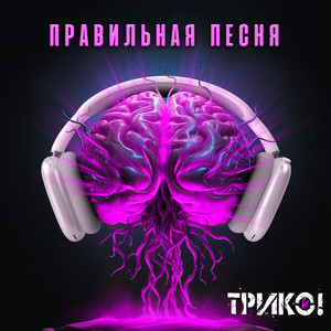 Правильная песня (Explicit)