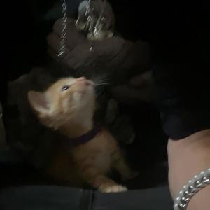 i bleed him (Explicit)