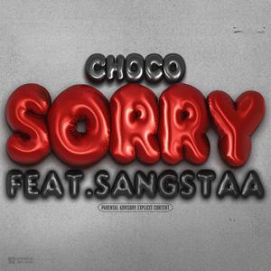 Sorry (feat. Sangstaa) [Explicit]