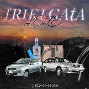Friki Gata