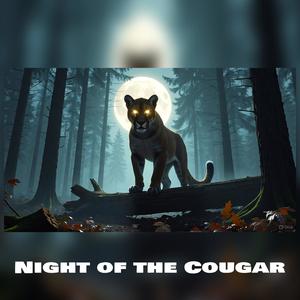 Night of the Cougar
