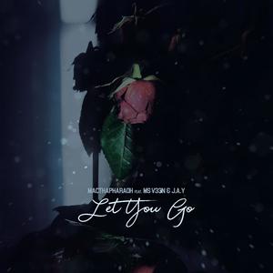 Let you go (feat. MS V33N & J.A.Y) [Explicit]