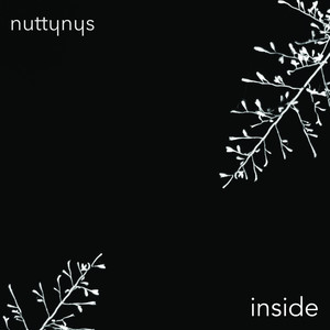 Nutty Nys - Inside