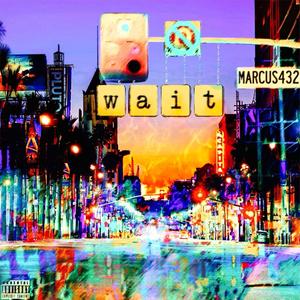 Wait (Explicit)