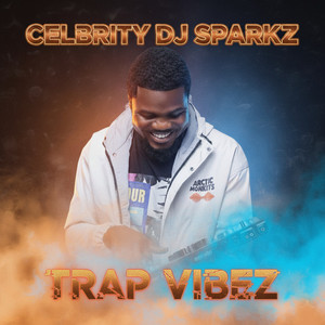 Celebrity Dj Sparkz - Trap to South (Jam)