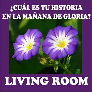 (What's the Story) Morning Glory? (Versión en Español)