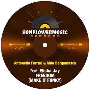 Freedom (Make It Funky) (Antonello Ferrari & Aldo Bergamasco Club Mix)