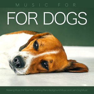 Music for Dogs: Relaxing Music For Your Pet, Soothing Piano Background Music and Calm Dog Music