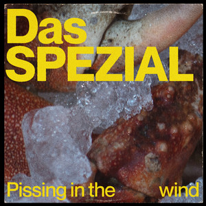 Pissing In The Wind (Instrumental)