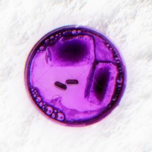 2 perc (feat. Fat Bradd, LEAN! & Cocachorra) (Explicit)