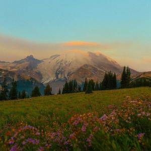 Feels Like Home (feat. JANI, Anaaz, Jokhay & superdupersultan) (slowed + reverb) (Explicit)