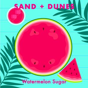 Watermelon Sugar (feat. MLDY) [Tropical House Version]