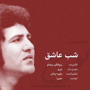 Shab e ashegh (feat. Homeyra) (Explicit)