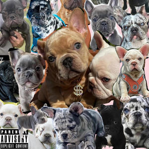 Frenchies (Explicit)