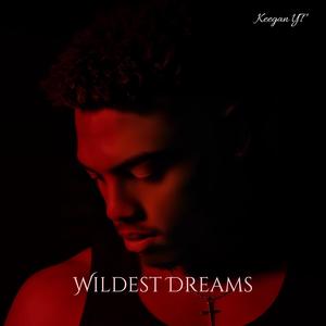Wildest Dreams