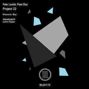 Project 22 (Alexskyspirit Remix)