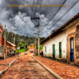 Música Colombiana Instrumental, Vol. 5