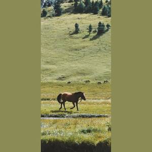 父亲的草原母亲的河（笛子）