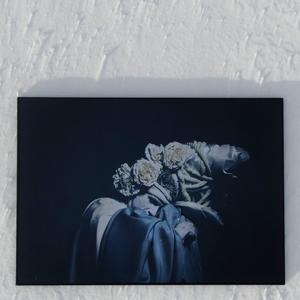 Everybody Seems So Happy