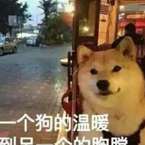 在这个城市努力生活的狗 (Demo)