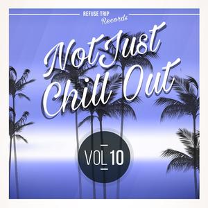 Not Just Chill Out Vol. 10