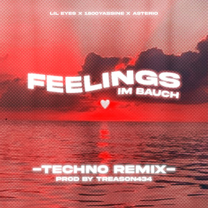 feelings im bauch (feat. treason434) (extended techno remix|Explicit)